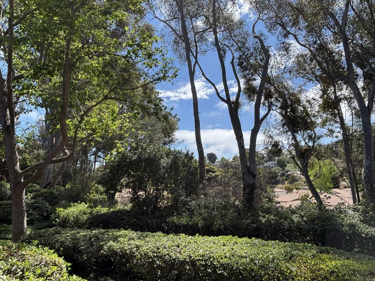 8860 Villa La Jolla Dr 106 - 106 #106 - Photo 5 of 33