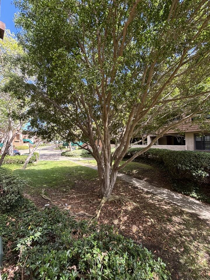 8860 Villa La Jolla Dr 106 - 106 #106 - Photo 6 of 33