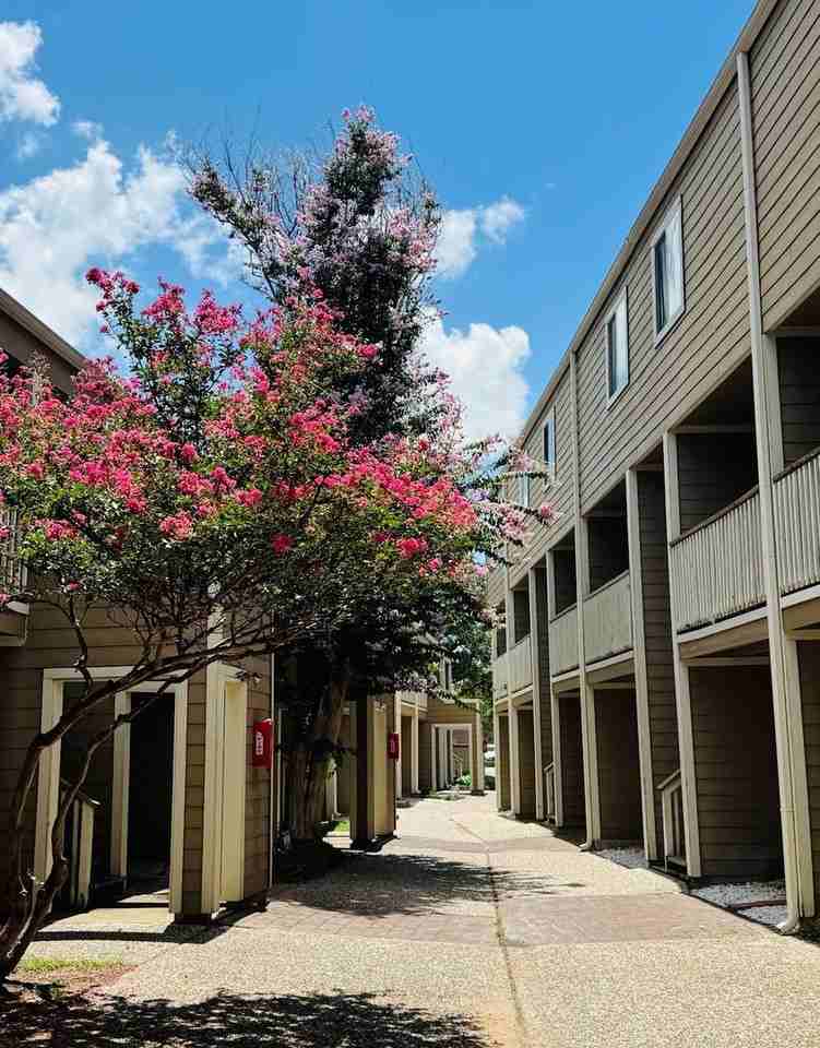 PARK PLACE APARTMENTS - Photo 4 of 12