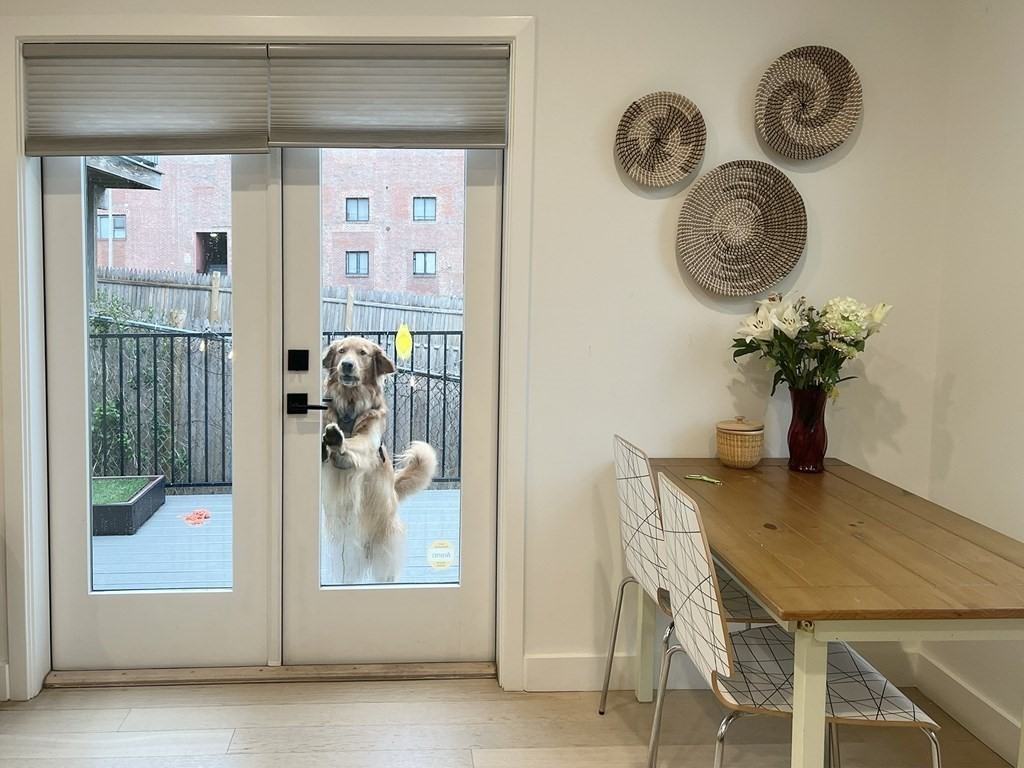 360 Meridian St #3 - Photo 3 of 19