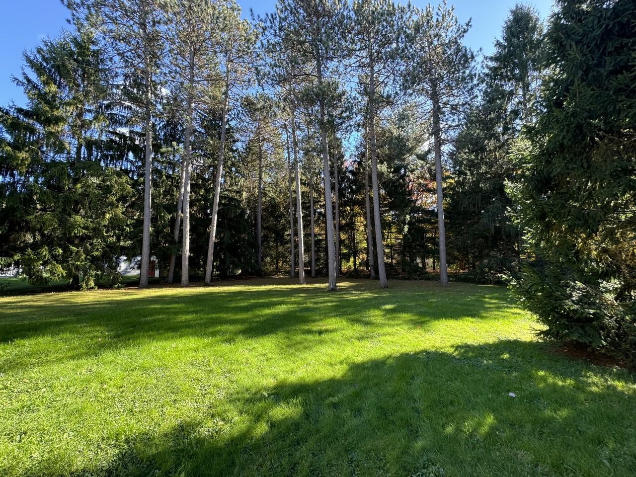 17 Meadowlark Dr #1 - Photo 2 of 7