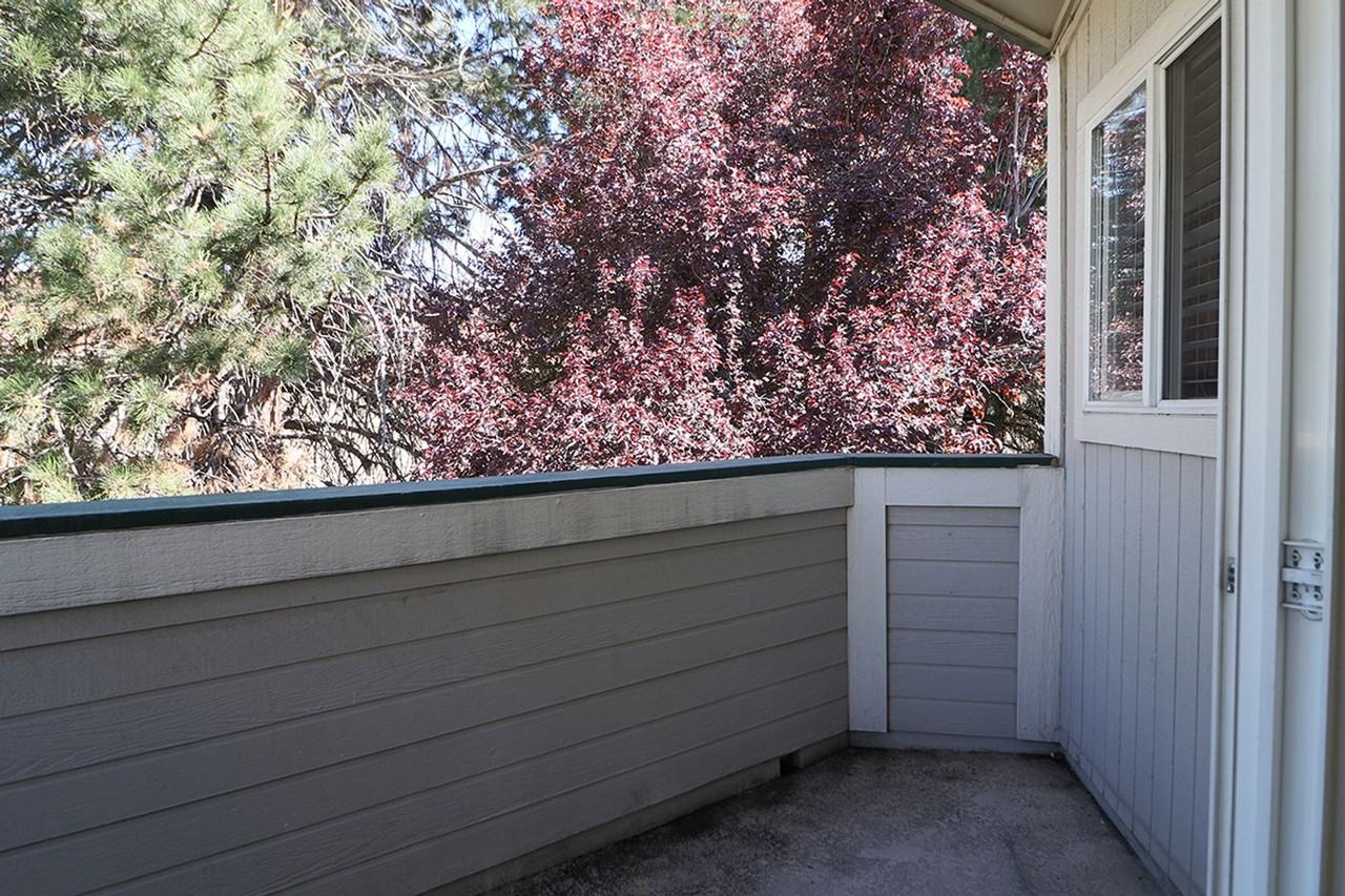 2659 Sycamore Glen Dr #3 - Photo 3 of 21