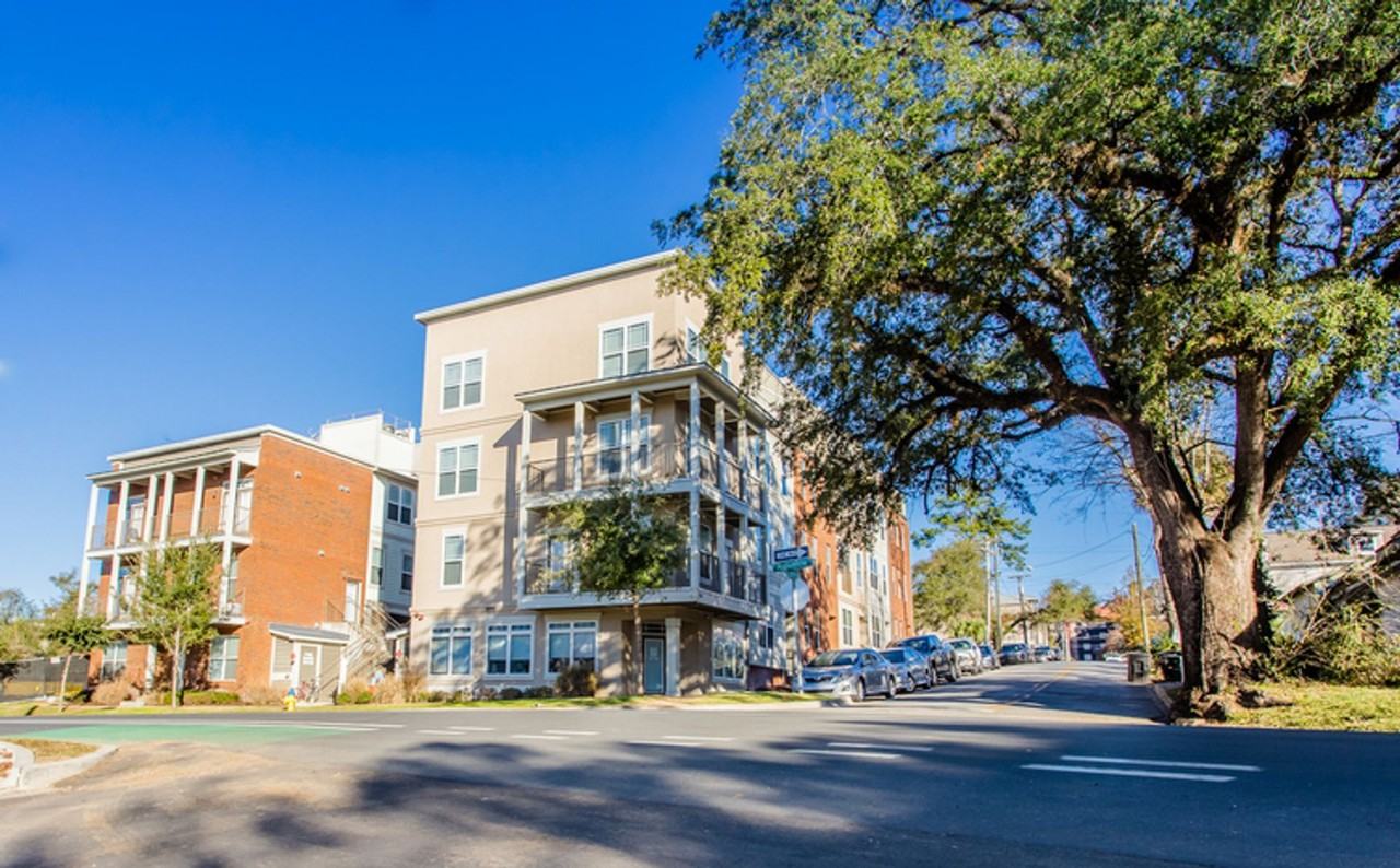 Paces - Photo 4 of 13