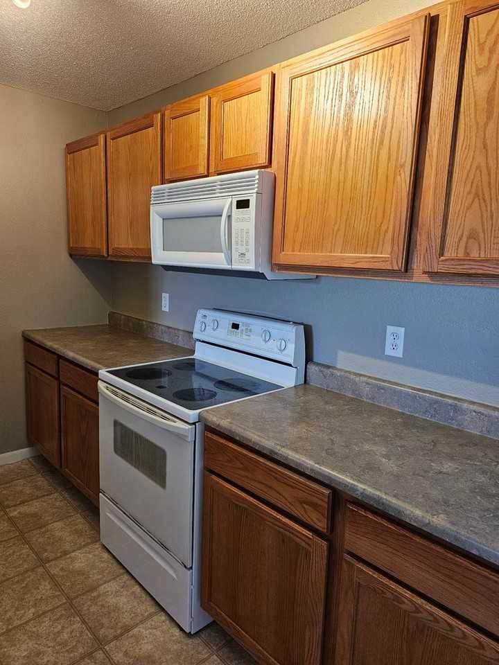 1609 Steamboat Ln - Photo 4 of 14