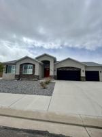 featured image of 3566 Saddle Dr