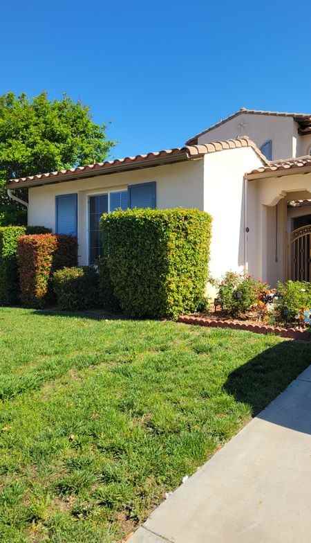 21672 Front St - Photo 2 of 14