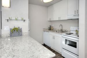 featured image of 1255 University Ave