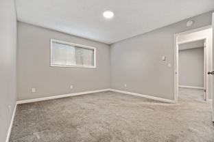 Timber Terrace - Photo 1 of 1