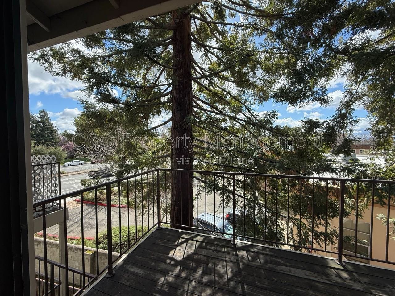 38561 Princeton Ter #16 - Photo 2 of 16