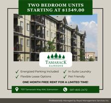 Tamarack Gardens - Photo 1 of 1