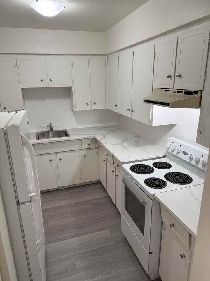 Reva Manor - Photo 5 of 20