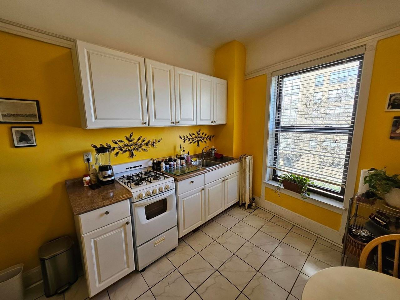 817 W Belle Plaine Ave #3F - Photo 4 of 12