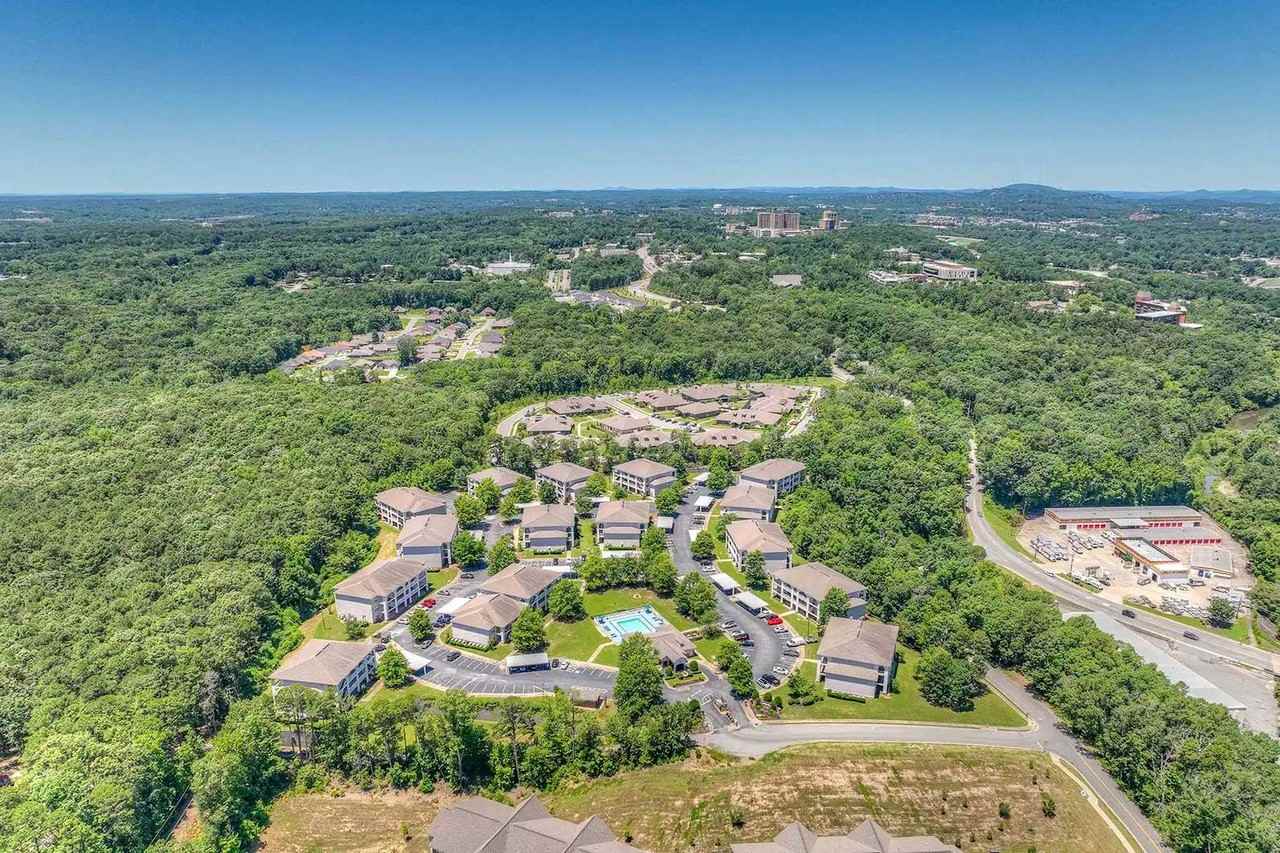 Parham Pointe - Photo 4 of 41