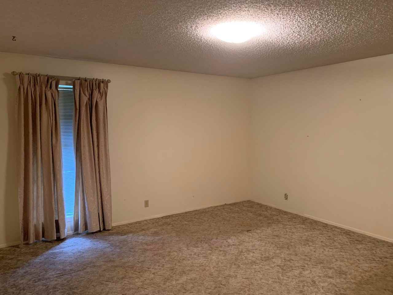 1303 Larkspur Ln - Photo 7 of 12