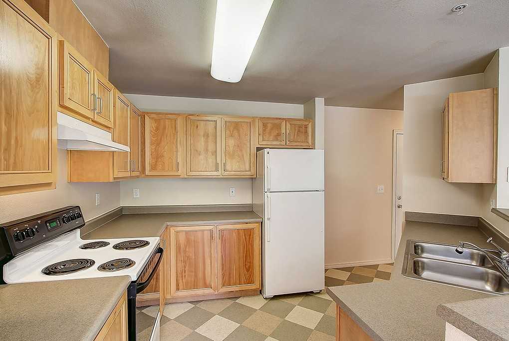 Salmon Run at Perry Creek - Photo 6 of 37