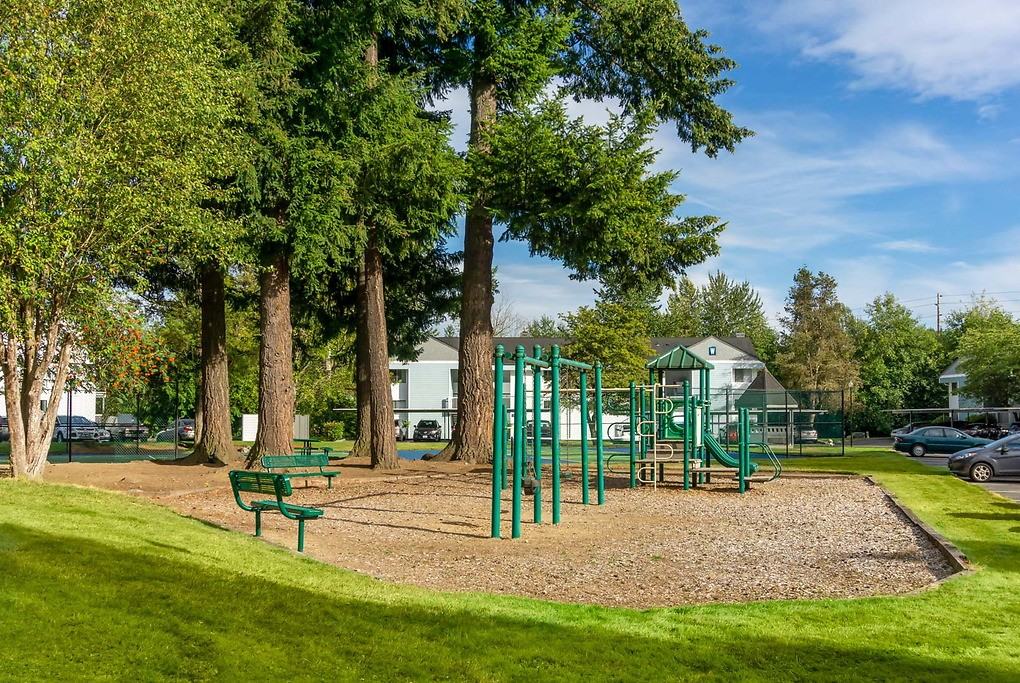 Wandering Creek - Photo 4 of 32