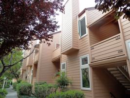 featured image of 5358 Borneo Cir