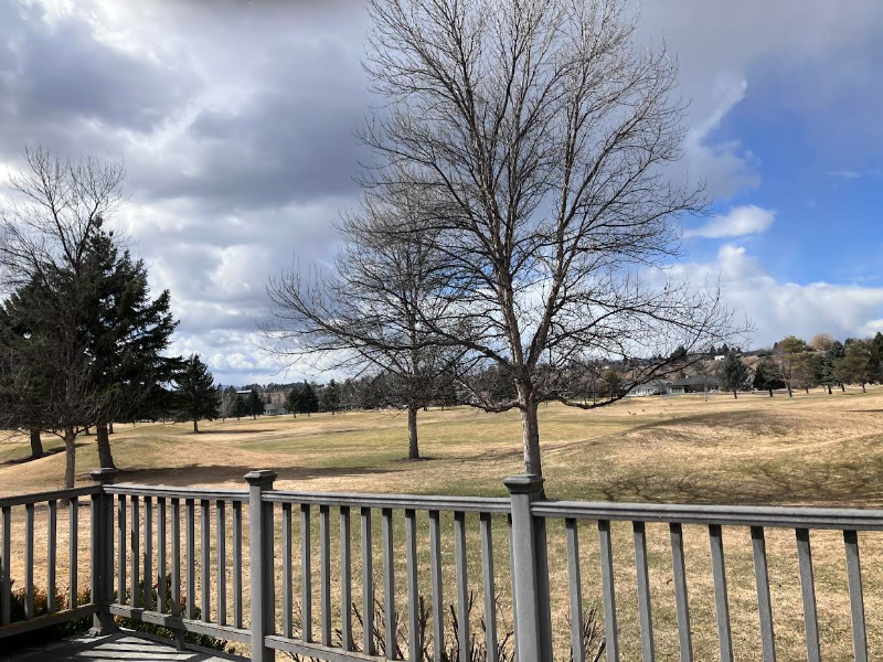 208 E Nicklaus Ave - Photo 4 of 19