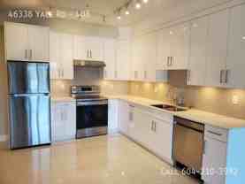 46338 Yale Rd #408 - Photo 1 of 1