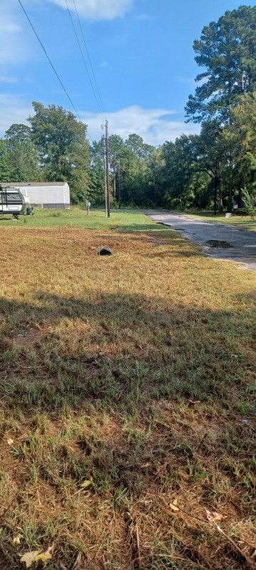 138 Navaho Trail #138 - Photo 5 of 12