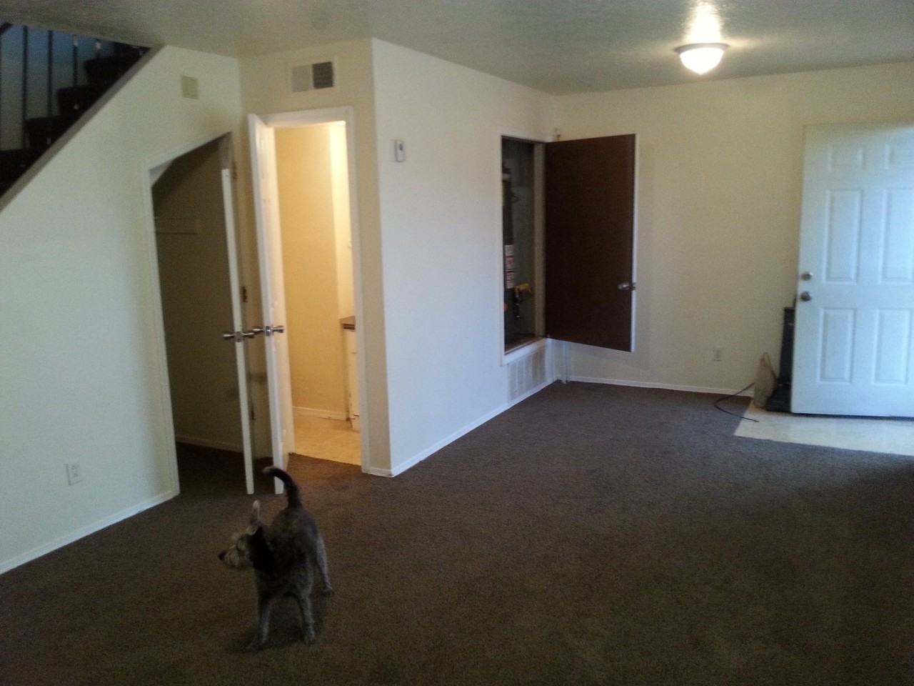 2101 Elm St Se #A - Photo 5 of 18