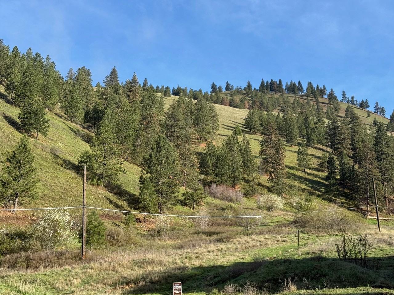 648 Highton St #101 - Photo 5 of 7