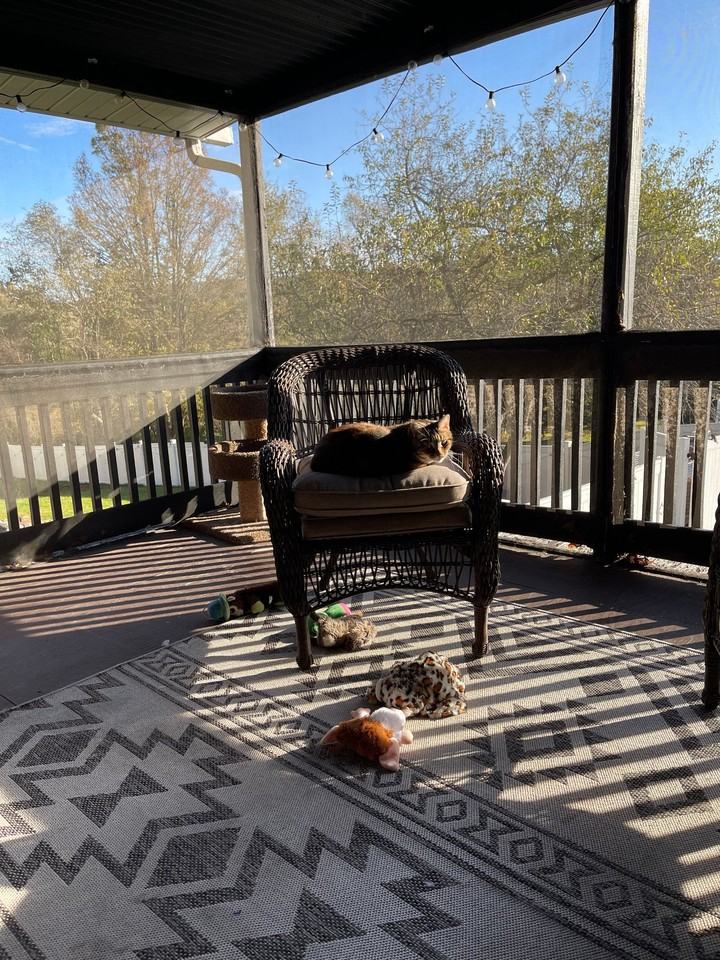 905 Boswell Hill Rd #1 - Photo 6 of 17