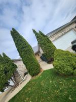 featured image of 10859 Park St #PARK