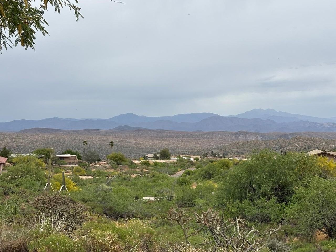 43003 N Old Mine Rd - Photo 2 of 33