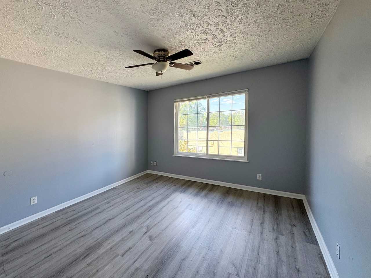 Lucile - Photo 5 of 9