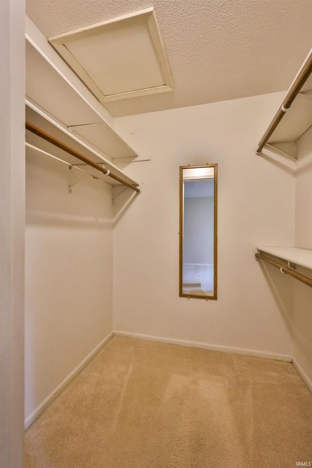 7104 Tanbark Ln - Photo 4 of 30