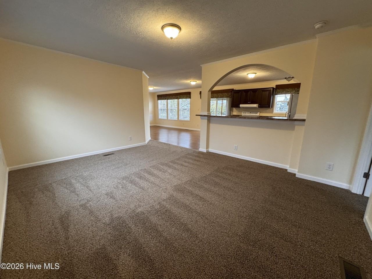 110 Palmetto Dr - Photo 3 of 17