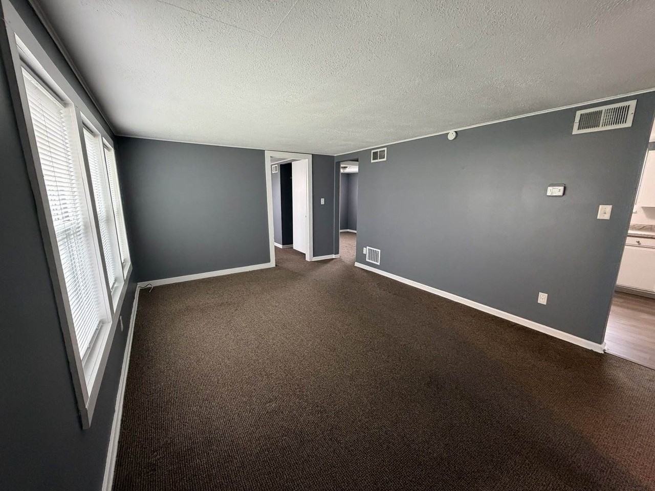 535 15th Ave - Photo 3 of 19