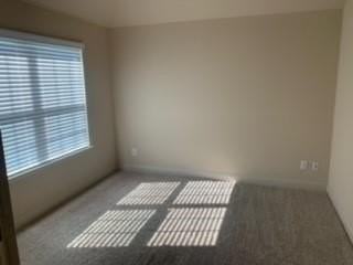 6504 Rienzi Dr - Photo 7 of 12