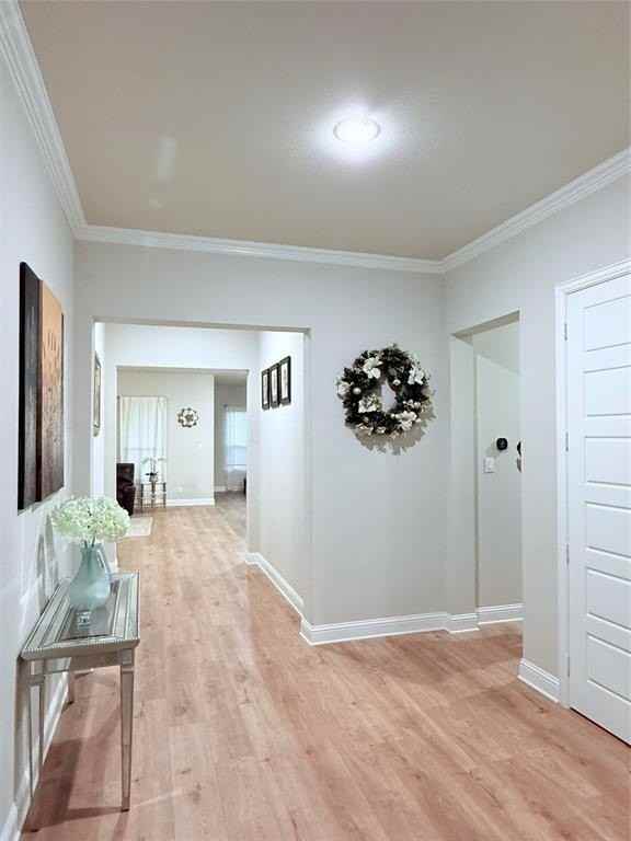 208 Hardwood Trl - Photo 3 of 25