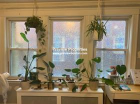 Colborne Rd #1P - Photo 1 of 1