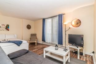 1245 Rue Saint-Dominique - Photo 1 of 1