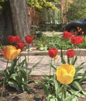 20 Brockton Avenue ##XX - Photo 1 of 1