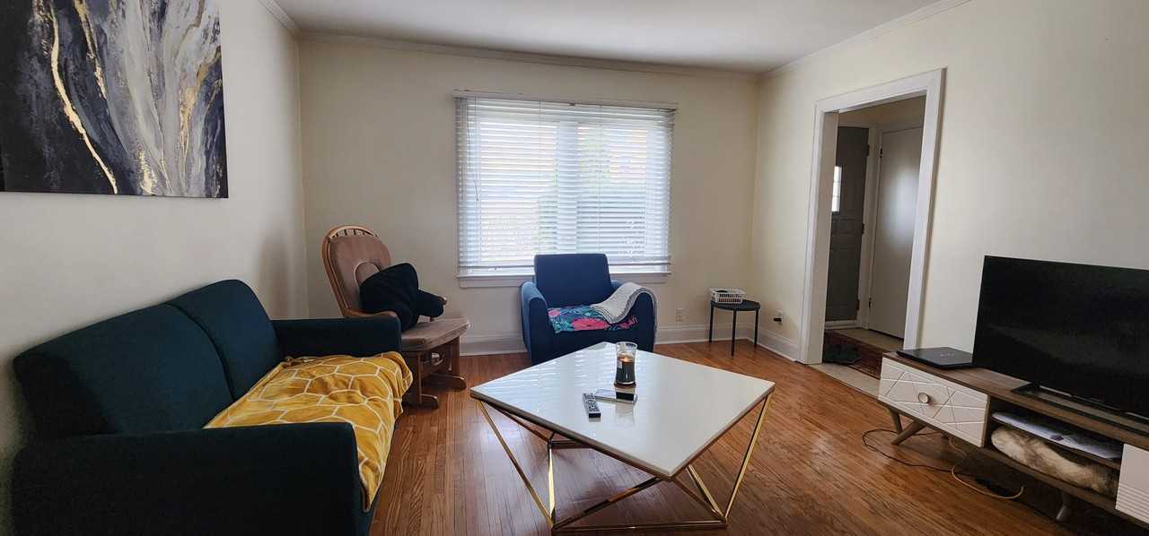 57 Trowell Avenue - Photo 6 of 17