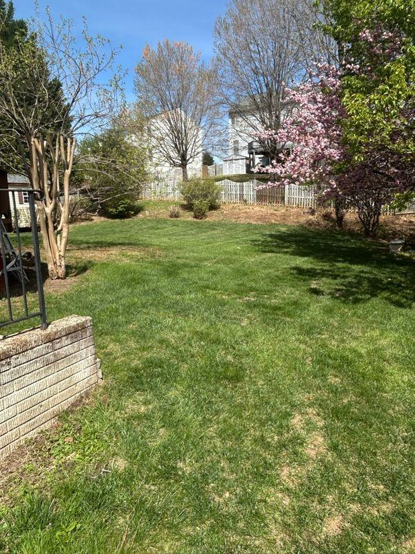 9315 Brandon St - Photo 3 of 16