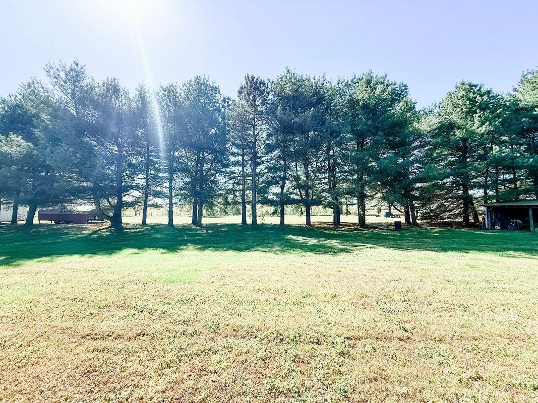 3396 Kings Hwy - Photo 6 of 6