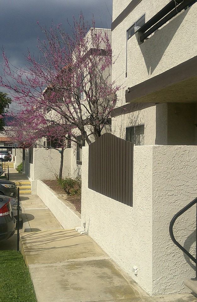 19550 E Cienega Ave - Photo 4 of 7
