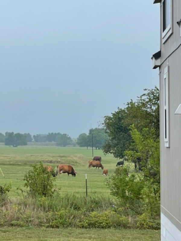 149 Antler Ridge Trl - Photo 2 of 11