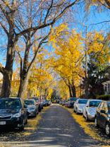 1318 Corbin Pl Ne #B - Photo 1 of 1