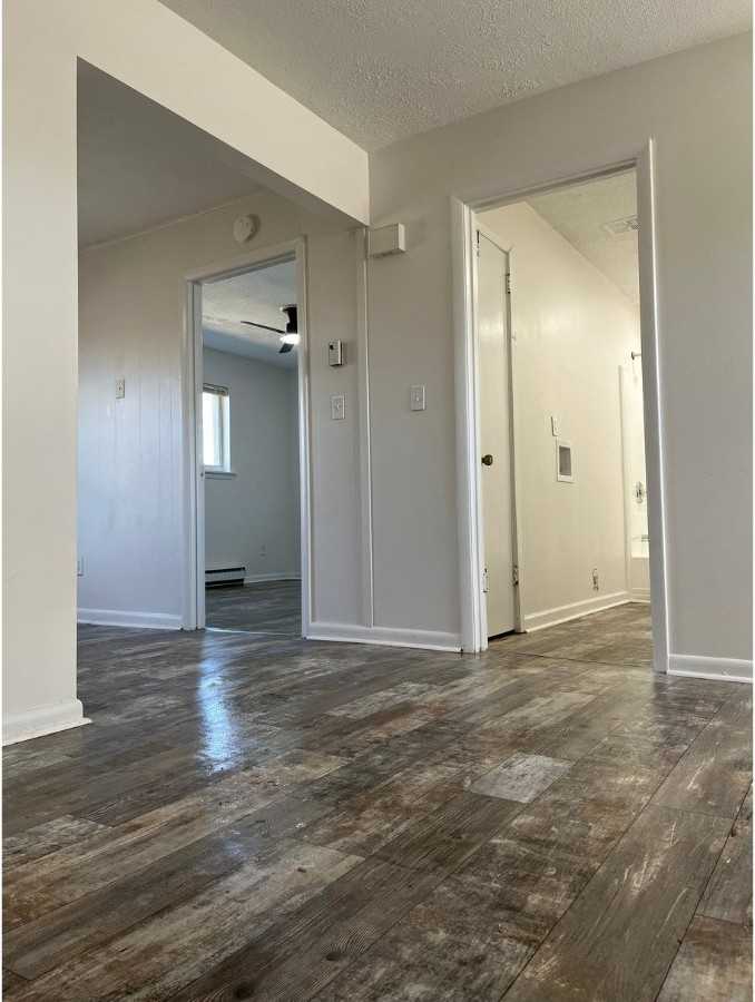141 Hendricks Blvd #3 - Photo 2 of 8