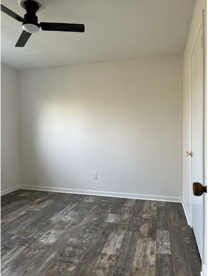 141 Hendricks Blvd #3 - Photo 5 of 8