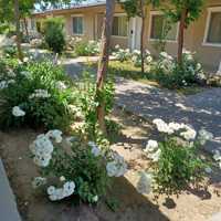 featured image of 208 W Dakota Ave #208C