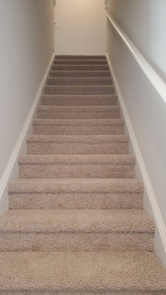 1124 Broholmer Ln - Photo 5 of 14