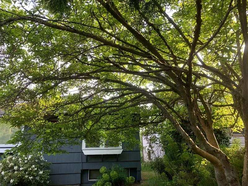 4721 University View Pl Ne - Photo 3 of 23