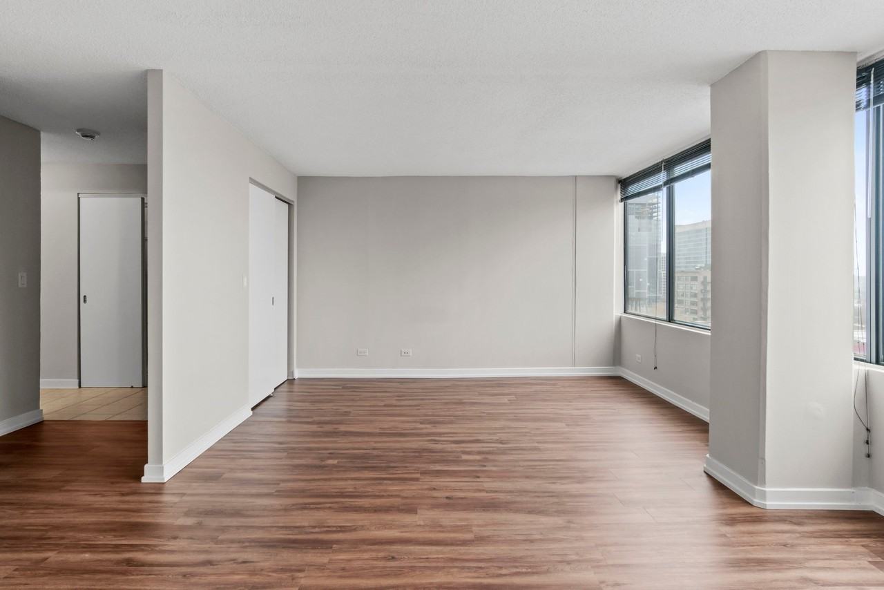 1011 S Michigan Ave #1707 - Photo 3 of 18